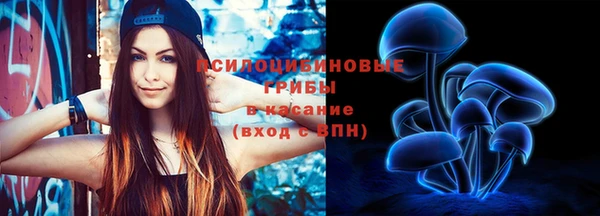 молекула духа Покров