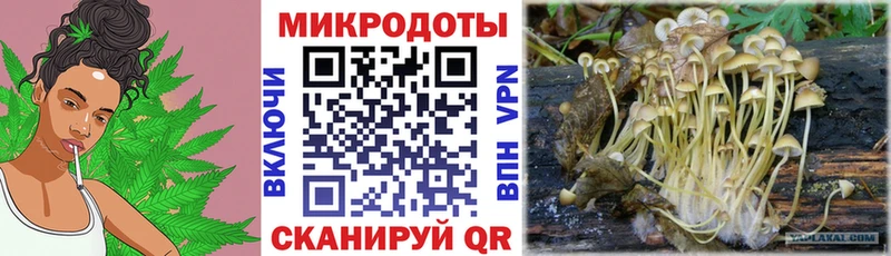 купить закладку  Югорск  Псилоцибиновые грибы Psilocybe 